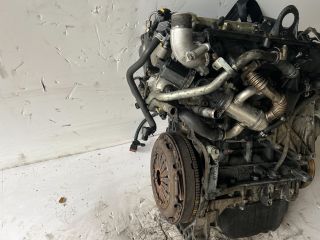 bontott SUZUKI SWIFT III Motor (Fűzött blokk hengerfejjel)