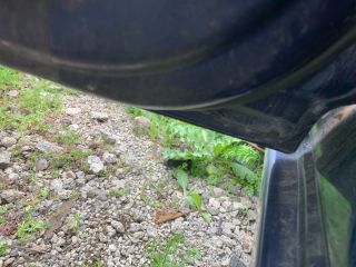 bontott SUZUKI SWIFT III Bal hátsó Ajtó (Üres lemez)