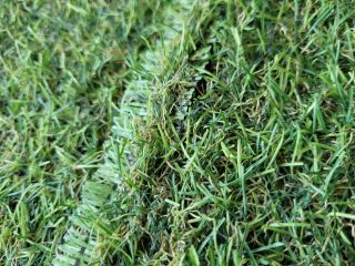 bontott SUZUKI SWIFT IV Első Bölcső