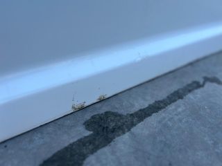 bontott SUZUKI SWIFT IV Jobb első Ajtó (Üres lemez)