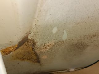 bontott SUZUKI SX4 Csomagtérajtó (Üres lemez)