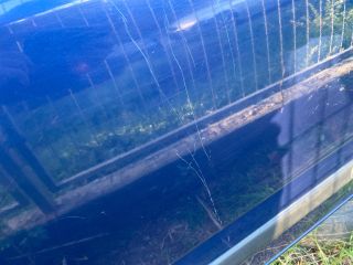 bontott SUZUKI WAGON R PLUS Bal első Ajtó (Üres lemez)