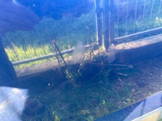 bontott SUZUKI WAGON R PLUS Bal hátsó Ajtó (Üres lemez)