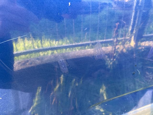 bontott SUZUKI WAGON R PLUS Bal hátsó Ajtó (Üres lemez)