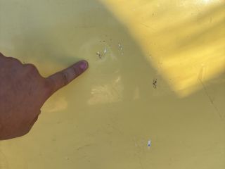 bontott SUZUKI WAGON R PLUS Motorháztető