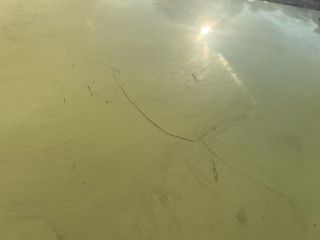 bontott SUZUKI WAGON R PLUS Motorháztető