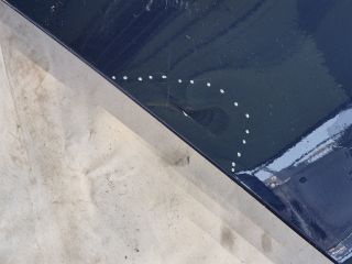 bontott TESLA 3 Jobb hátsó Ajtó (Üres lemez)