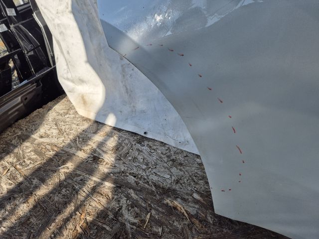 bontott TESLA Model Y Jobb hátsó Ajtó (Üres lemez)