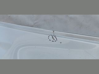 bontott TESLA Model Y Jobb hátsó Ajtó (Üres lemez)