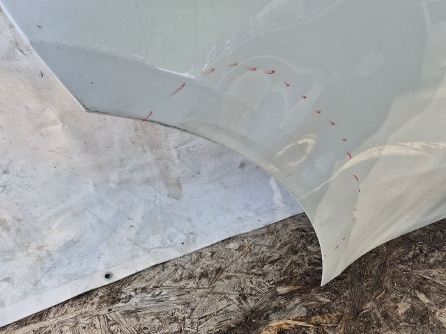 bontott TESLA Model Y Jobb hátsó Ajtó (Üres lemez)