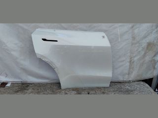 bontott TESLA Model Y Jobb hátsó Ajtó (Üres lemez)