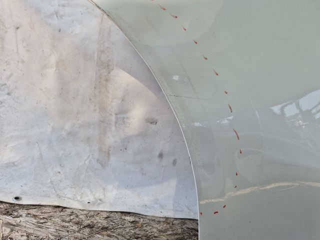 bontott TESLA Model Y Jobb hátsó Ajtó (Üres lemez)