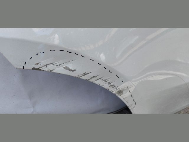 bontott TESLA Model Y Jobb hátsó Ajtó (Üres lemez)