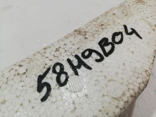 bontott TOYOTA AURIS Első Lökhárító Ütközés Elnyelő Hab