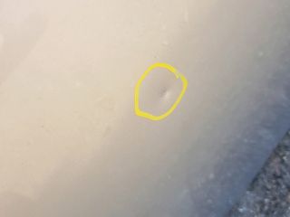 bontott TOYOTA AURIS Jobb hátsó Ajtó (Üres lemez)