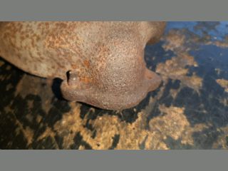 bontott TOYOTA AVENSIS T25 Leömlő (Soros)