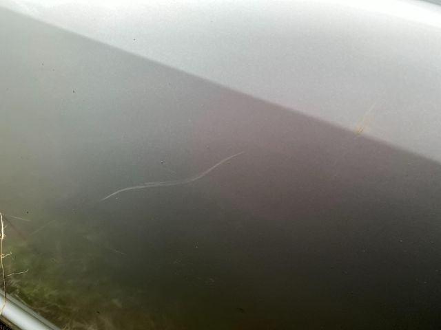 bontott TOYOTA AVENSIS T25 Bal hátsó Ajtó (Üres lemez)