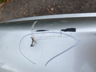 bontott TOYOTA AVENSIS T25 Hátsó Lökhárító (Részeivel)