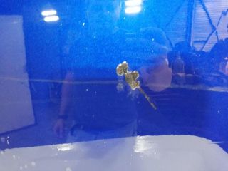 bontott TOYOTA AVENSIS T27 Bal hátsó Ajtó (Üres lemez)