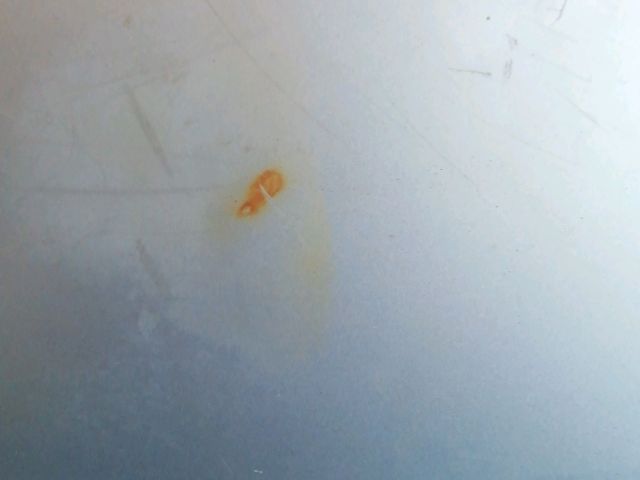 bontott TOYOTA CARINA Csomagtérajtó (Üres lemez)