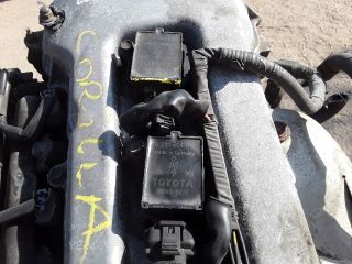 bontott TOYOTA COROLLA Generátor