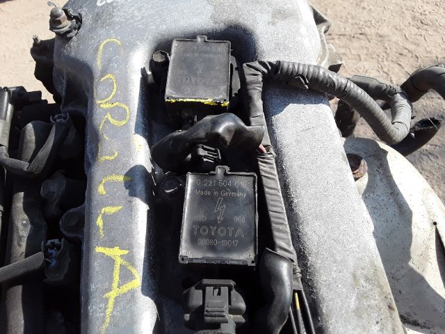 bontott TOYOTA COROLLA Porlasztó (1 db)