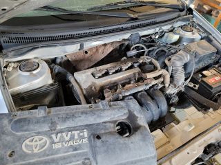 bontott TOYOTA COROLLA Tető Díszléc