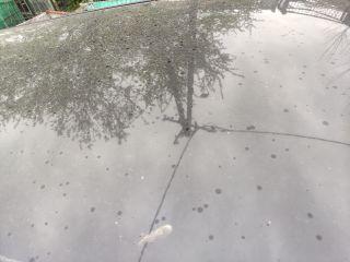 bontott TOYOTA COROLLA VERSO Bal hátsó Féknyereg Munkahengerrel