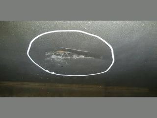 bontott TOYOTA COROLLA VERSO Bal első Ajtó (Üres lemez)