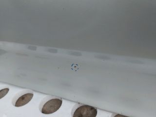 bontott TOYOTA COROLLA VERSO Bal első Ajtó (Üres lemez)