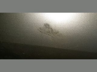 bontott TOYOTA COROLLA VERSO Bal hátsó Ajtó (Üres lemez)