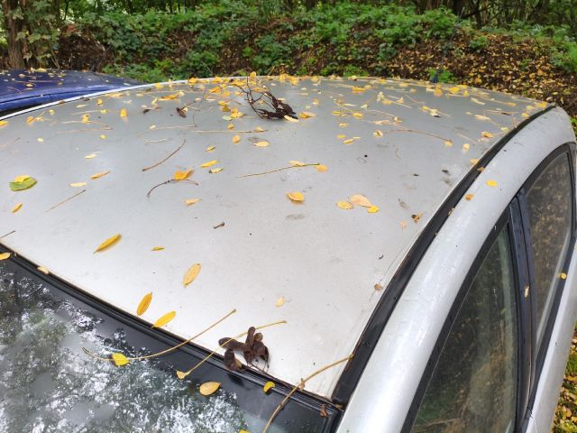 bontott TOYOTA COROLLA VERSO Tetősín Pár