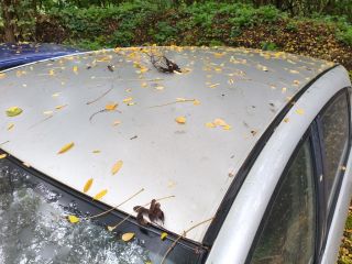 bontott TOYOTA COROLLA VERSO Tetősín Pár