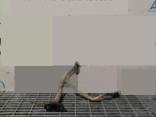 bontott TOYOTA LAND CRUISER EGR Hűtő Cső