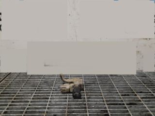 bontott TOYOTA LAND CRUISER Lefújószelep