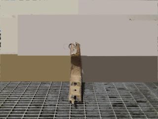 bontott TOYOTA LAND CRUISER Tartó Bak