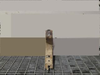 bontott TOYOTA LAND CRUISER Tartó Bak