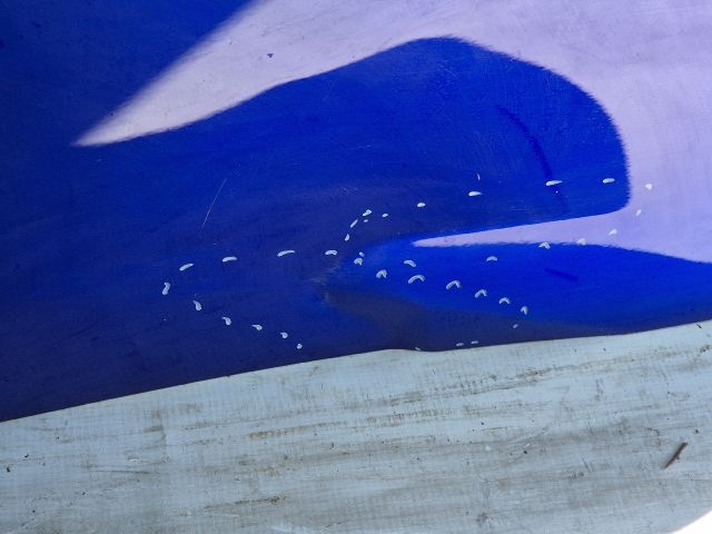 bontott TOYOTA MIRAI Jobb hátsó Ajtó (Üres lemez)