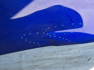 bontott TOYOTA MIRAI Jobb hátsó Ajtó (Üres lemez)