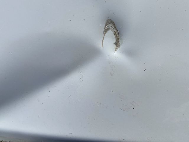 bontott TOYOTA PROACE CITY VERSO Bal hátsó Ajtó (Részeivel)