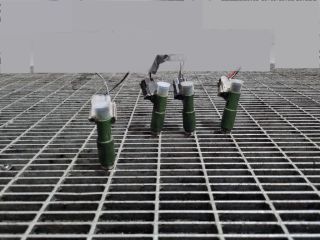 bontott TOYOTA RAV 4 Porlasztó (1 db)