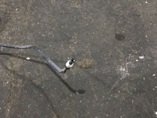 bontott TOYOTA RAV 4 Jobb hátsó Fékcső (Fém)