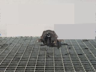 bontott TOYOTA RAV 4 Bal első Fékkengyel