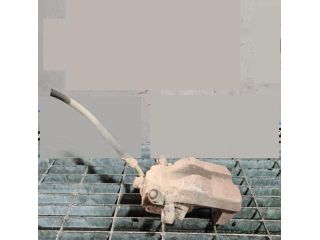 bontott TOYOTA RAV 4 Bal hátsó Fékkengyel