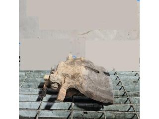 bontott TOYOTA RAV 4 Jobb első Fékkengyel