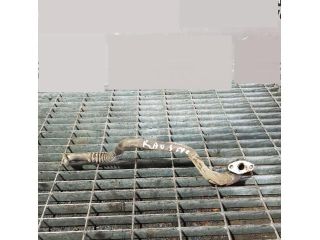 bontott TOYOTA RAV 4 EGR Hűtő Cső