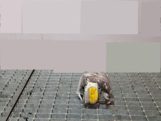 bontott TOYOTA RAV 4 Bal első Biztonsági Öv