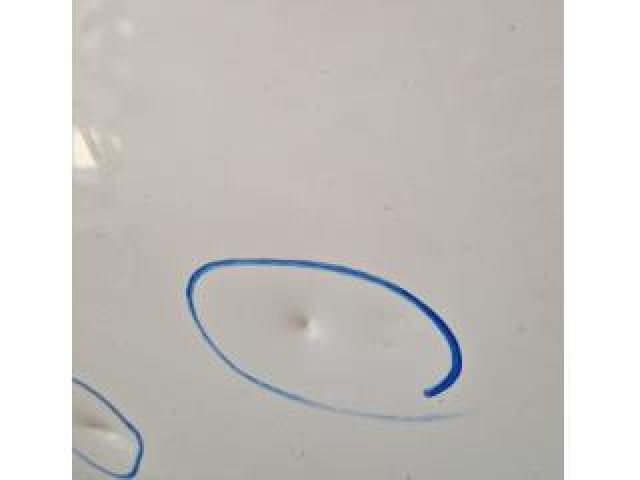 bontott TOYOTA RAV 4 Bal hátsó Ajtó (Üres lemez)