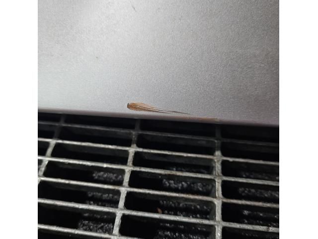 bontott TOYOTA RAV 4 Hátsó Szárny Légterelő