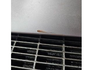 bontott TOYOTA RAV 4 Hátsó Szárny Légterelő